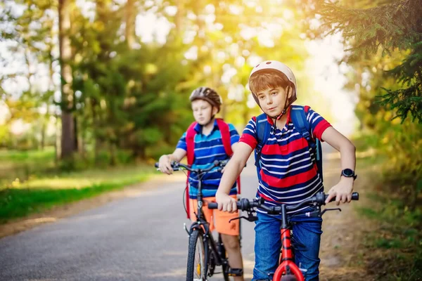 Teenagers on the bicycles at the asphalt road riding to the school — Stock Photo, Image