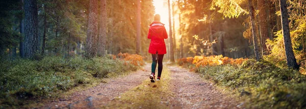 Young woman walking in the autumnal forest in sunrise. — Stock Photo, Image