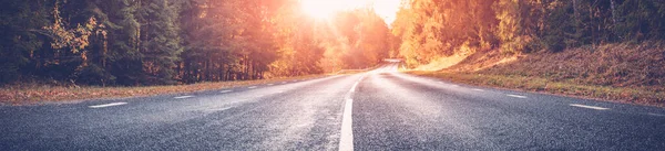 Asphalt road with beautiful trees on the sides in autumn — Stock Photo, Image