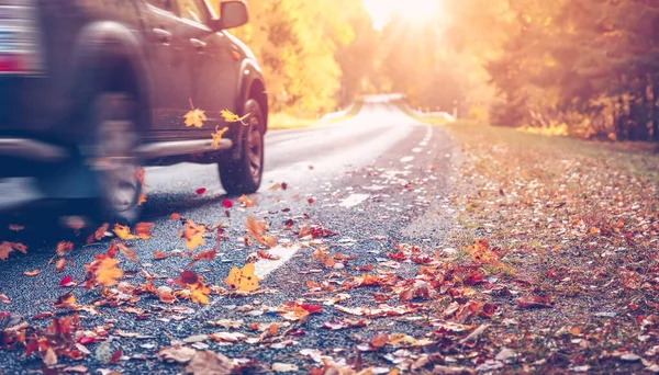 Droga asfaltowa z pięknymi drzewami na bokach jesienią — Zdjęcie stockowe