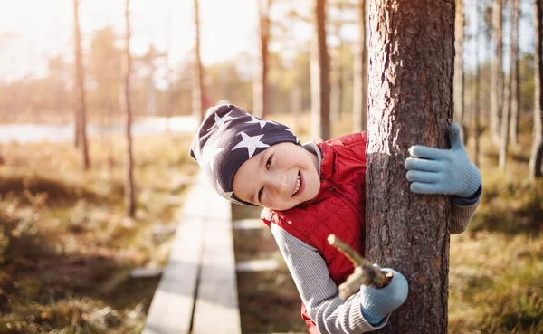 Χαριτωμένο αγόρι στο δάσος αγκαλιάζει ένα κορμό δέντρων — Φωτογραφία Αρχείου
