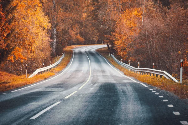 Hermosa carretera curva con línea divisoria y árboles otoñales a ambos lados de la misma. —  Fotos de Stock