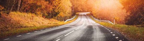 Beautiful panorama of the curve road and autumnal trees on the both sides of it. — Stock Photo, Image