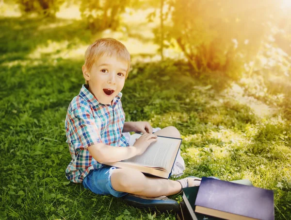 Маленький хлопчик сидить на лузі і читає книгу . — стокове фото