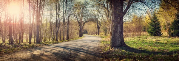 Weg in lentemorgen — Stockfoto