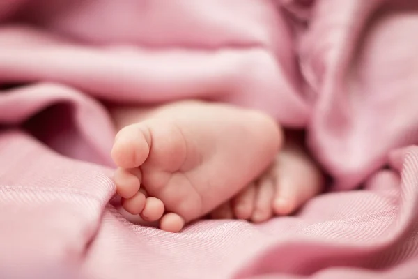 Baby feet — Stock Photo, Image