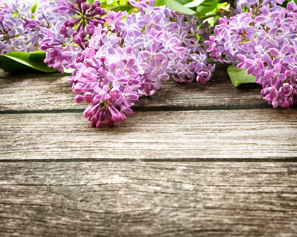 Lilac flowers on wooden background — Stock Photo, Image