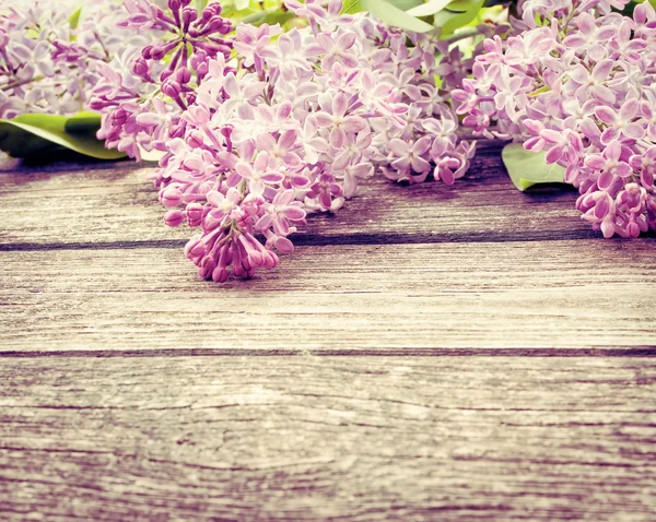 Lilac flowers on wooden background — Stock Photo, Image