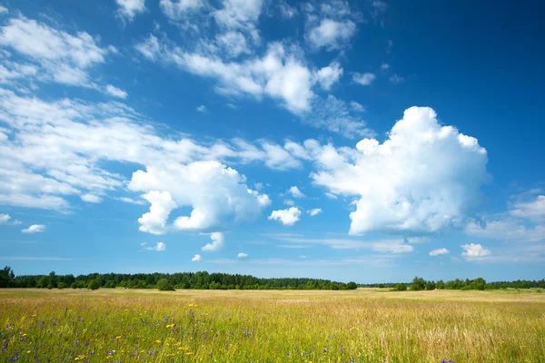 Fält och vackra molnig himmel — Stockfoto