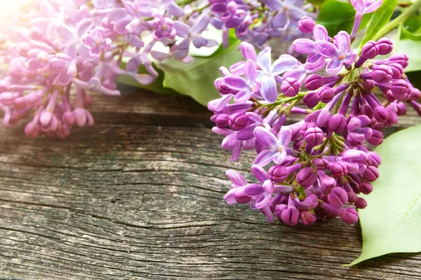 Lilac flowers on wooden background — Stock Photo, Image