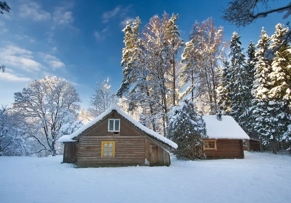 Old houses in snowy forest — Stok fotoğraf
