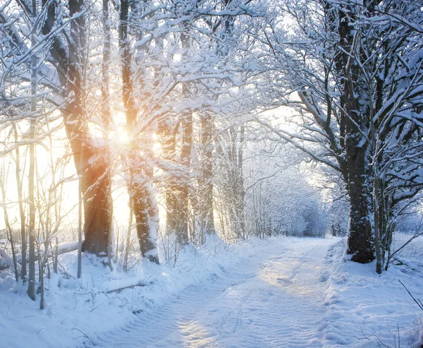 Estrada de inverno com luz solar — Fotografia de Stock