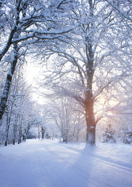 Route d'hiver au lever du soleil — Photo