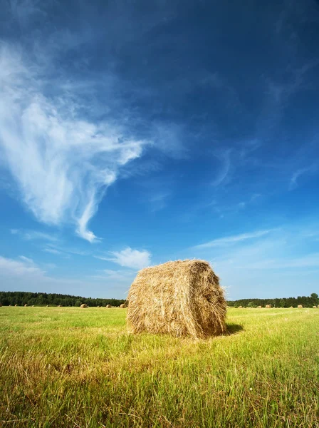 Heuballen mit blauem Himmel — Stockfoto