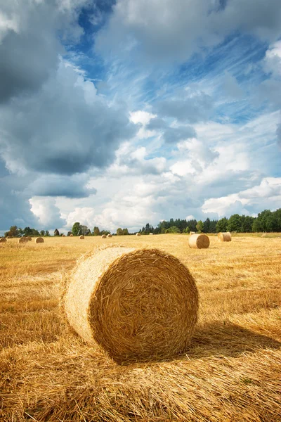 Heuballen mit blauem Himmel — Stockfoto