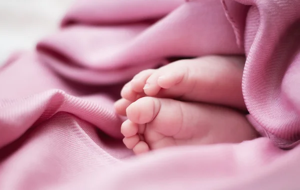 Baby feet — Stock Photo, Image