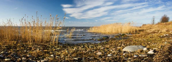 Берег моря с чайкой и камнями — стоковое фото