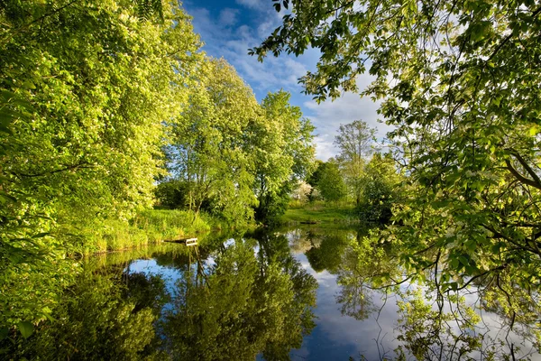 Střemchová u rybníka — Stock fotografie