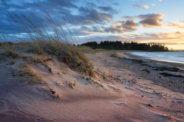 Cold windy evening at a seacoast — Stock Photo, Image