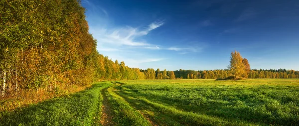 Szutrową jesień — Zdjęcie stockowe