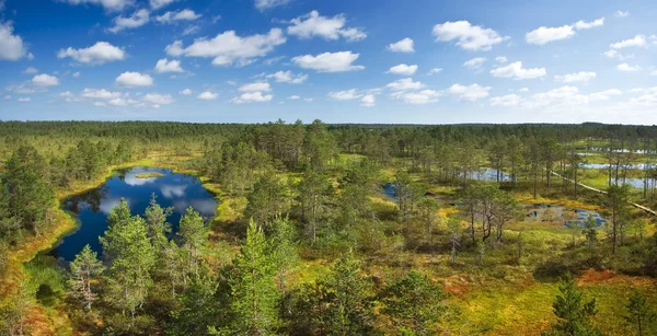 Панорамный вид на болота Виру — стоковое фото