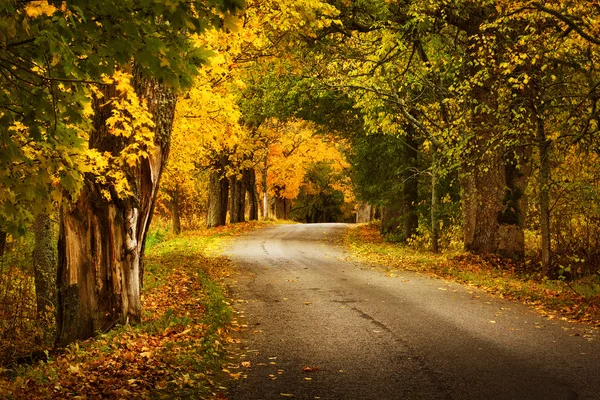 Herfst weg — Stockfoto