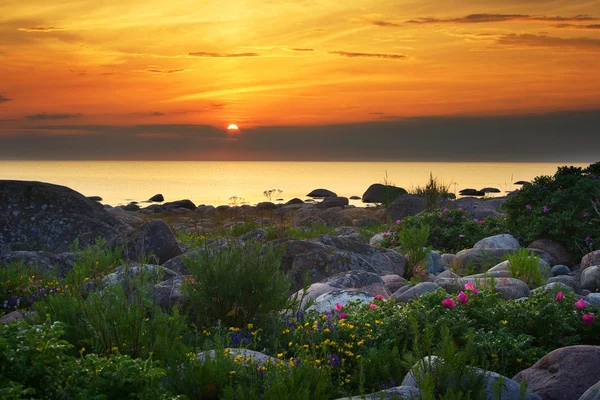 Setting sun at the rocky coast — Stock Photo, Image