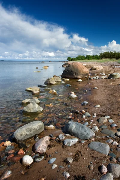 Costa estónia — Fotografia de Stock