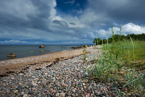 Balti tengerparti — Stock Fotó