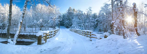 Panoramisch uitzicht op de brug in de winter — Stockfoto