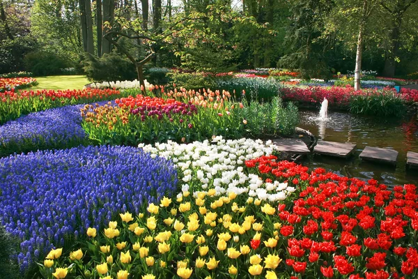 Spring flowers in park — Stock Image Spring flowers in park Stock Photo