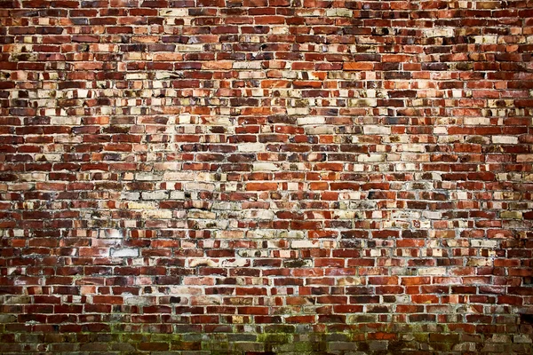 Παλιά το brickwall — Φωτογραφία Αρχείου
