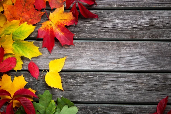 Folhas multicoloridas no fundo de madeira velho — Fotografia de Stock