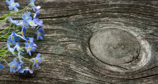 Forget-me-not bloemen op houten oppervlak — Stockfoto