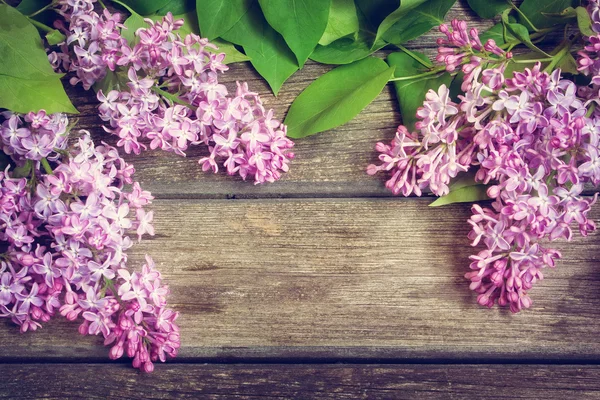 Lilac flowers on wooden background — Stock Photo, Image