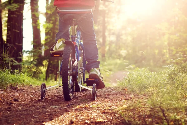 Jongen op fiets in het forest — Stockfoto