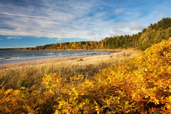 Coastal landscape in autumn — Stock Photo, Image