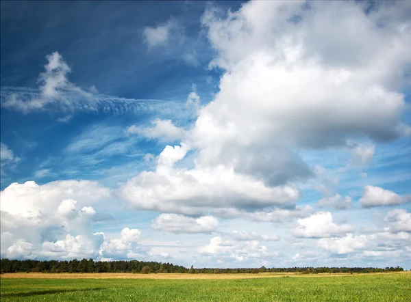 Gröna fält och vackra molnig himmel — Stockfoto