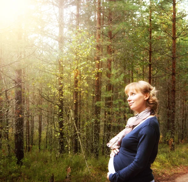 Mulher grávida na floresta na luz da manhã — Fotografia de Stock
