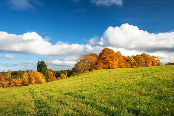 Jesienny krajobraz na polu — Zdjęcie stockowe