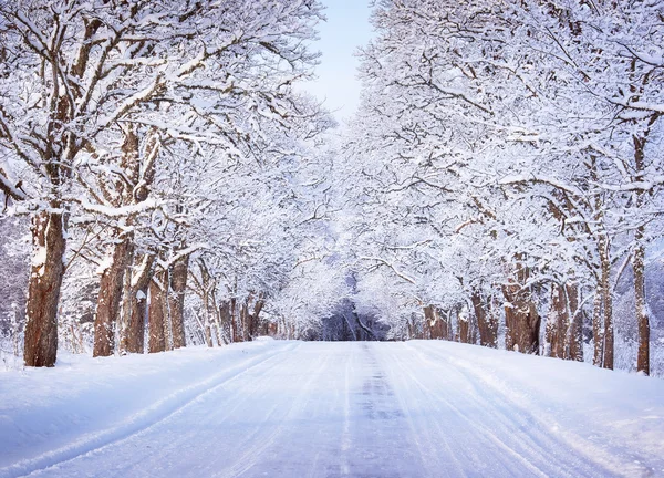 Beco na manhã nevada — Fotografia de Stock