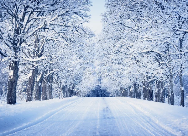 Alley in snowy morning Stock Photo