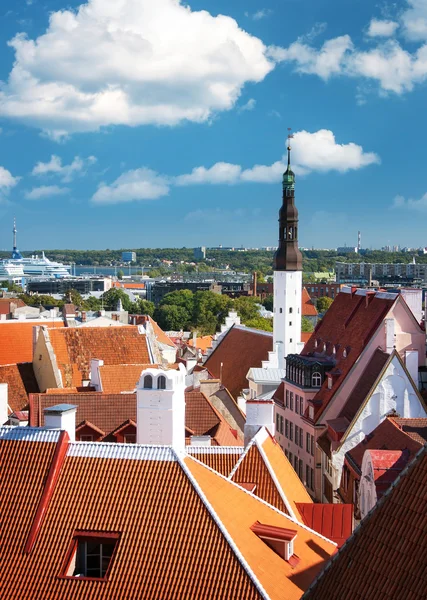 Tampilkan ke Tallinn lama — Stok Foto