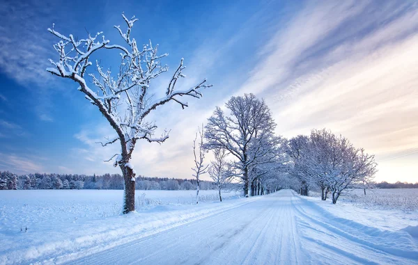 Kışın karlı sokak — Stok fotoğraf