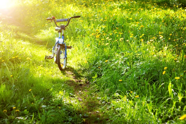 Kinderfahrrad im Park mit Löwenzahn bei angenehmem Sonnenschein — Stockfoto