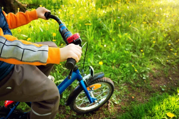 Kind fiets in het park met paardebloemen in aangename zonnige dag — Stockfoto