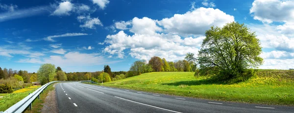 Road panorama on summer evening — Stock Photo, Image