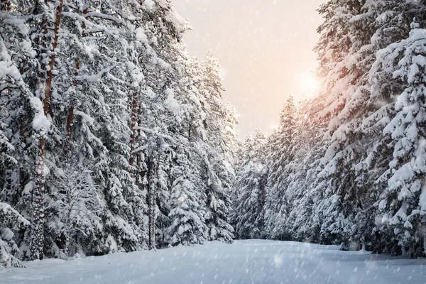 Estrada de inverno de manhã — Fotografia de Stock