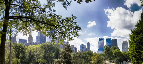 Central Park e grattacieli — Foto Stock