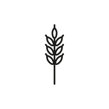 Buğday Çizgisi Simgesi, basit bir şekilde. Beyaz arkaplanda izole edilmiş basit bir şekilde vektör işareti. 64x64 piksel